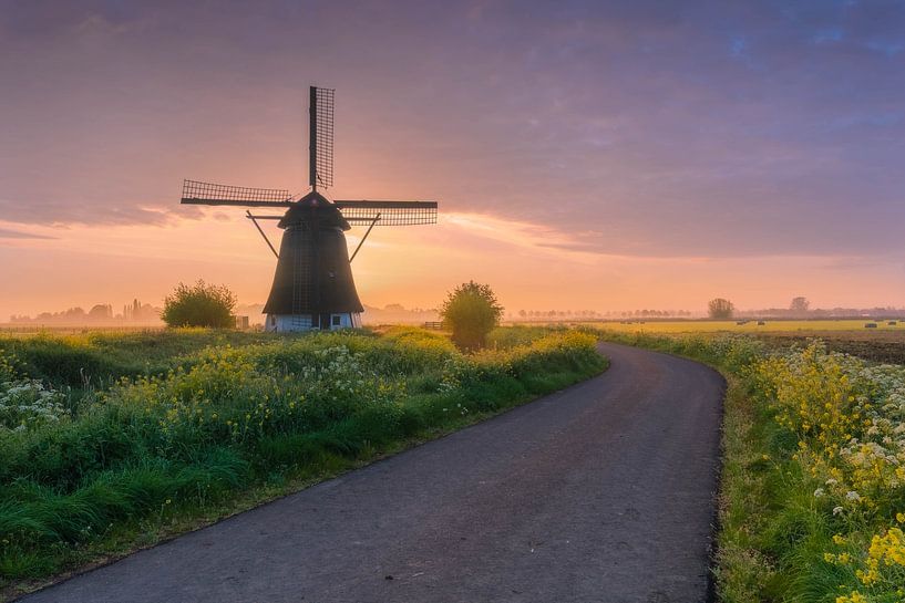 To the sun by Jan Koppelaar Fotografie