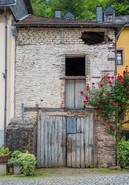 Garden poster of old barn with roses by Danny den Breejen
