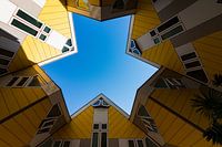 The Blaak Forest, the blockhouses of Rotterdam