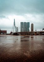 Erasmus-Brücke Rotterdam