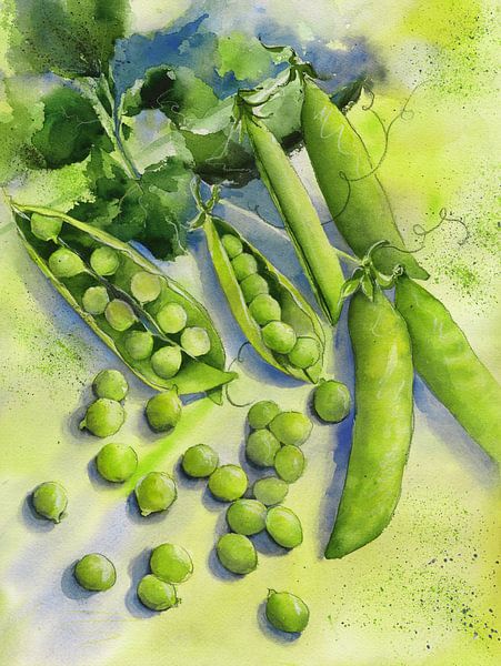 Erbsen von Jitka Krause
