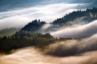 Pieniny morning fog