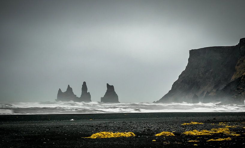 Vik schwarzen Sandstrand von Erik Keuker