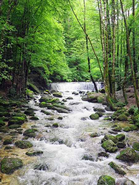 Watervallen van Herisson in de Jura in Frankrijk par Gabi Gaasenbeek