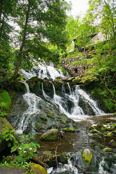 Kleiner Wasserfall im Wald mit Moos auf Steinen von Martin Köbsch