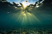Underwater god rays/sunburst