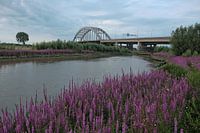 Leckagebrücke Vianen 2