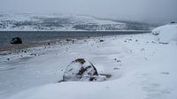 Plage enneigée au bord de la mer de Barents