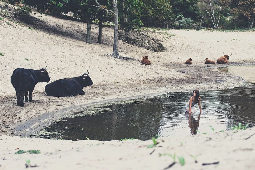 Bad von Alex Schröder