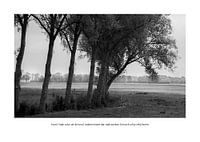 Hoe Kijkt Autisme: Toon