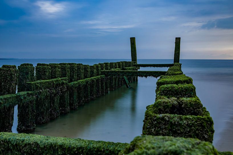 Breakwater Zoutelande overgrown with seaweed by Tjeerd Knier