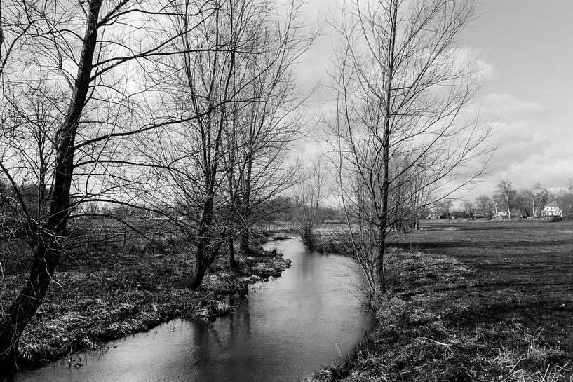 Photo en noir et blanc du Limbourg Bleijenbeek par Patrick Verhoef