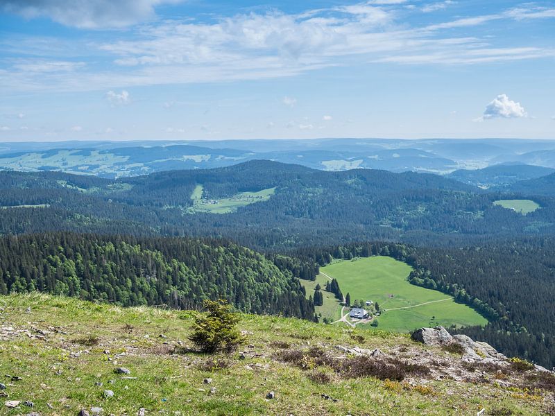 View over the Black Forest in Germany by Animaflora PicsStock