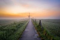 Sonnenaufgang an der Windmühle Koningslaagte