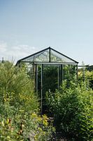 Gewächshaus