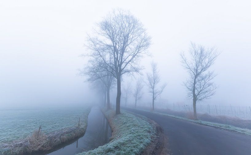 Der Groeneweg zwischen HHwaard und Oterleek im Nebel 4 von peterheinspictures