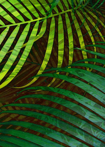 TROPICAL GREENERY LEAVES no5 von Pia Schneider