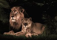 Löwenfamilie mit 1 Jungtier