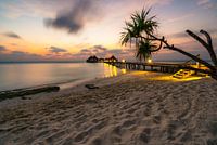 Sunset at the palm beach