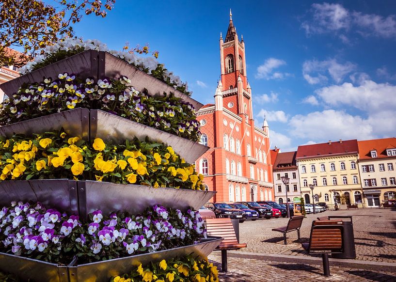 Skyline von Kamenz in Sachsen von Animaflora PicsStock