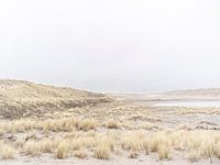 Windige Dünenlandschaft