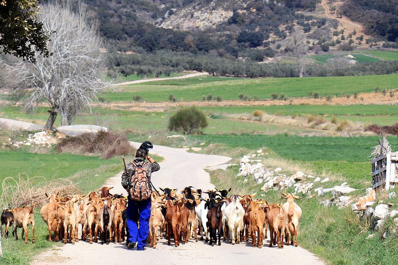 Berger de chèvres en route. par Jan Katuin