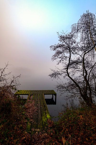 Serene morning by the water by Mark Bolijn