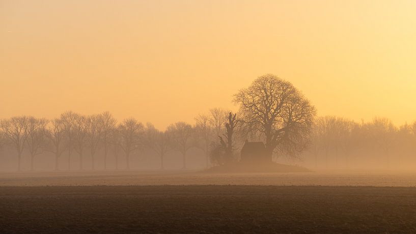 Sunrise over a field, mound with shed. Netherlands. by Ronald Harmsen