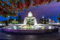 L'eau plate de Robert Diez