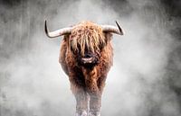 Schottischer Highlander