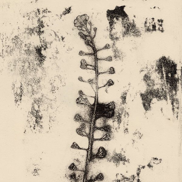 Botanische Drucke im Vintage-Stil. Blume. von Dina Dankers