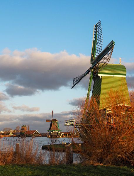 The green mill by Odette Kleeblatt