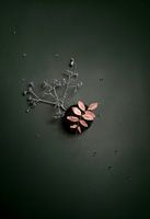 Die neunundneunzigste Sammlung