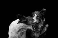 Une petite discussion