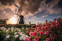 Sonnenuntergang auf der Piepermolen in Rekken