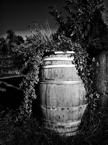 Second Life für das alte Fass - Bünde | S/W-Version von Momentaufnahme | Marius Ahlers