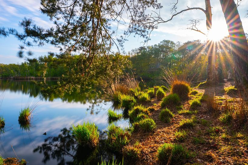 Sunrise Zeegser dunes in Drenthe by Yvonne de Bondt