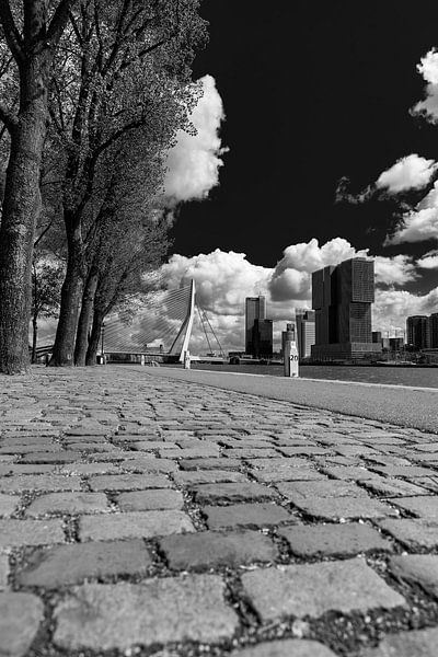 La route vers Cloud City par Klaus Lucas