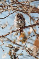 Owl perched among pastel flowers on branches