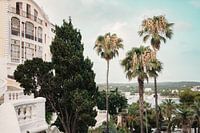 Sommerliche Gelassenheit auf Menorca