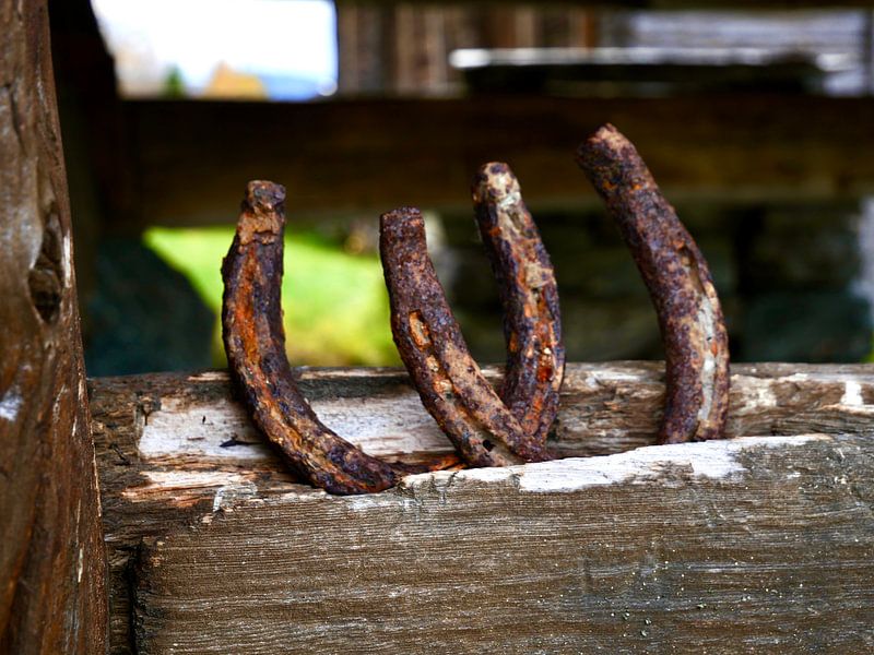 Zwei rostige Hufeisen auf einem Holzbrett von Judith van Wijk