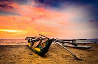 Auslegerboot am Strand bei Sonnenuntergang in Negombo Sri Lanka