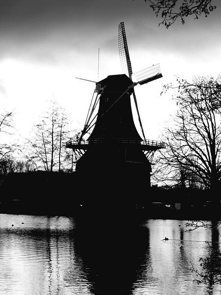 Rotterdam, Kralingen by Halil Koç