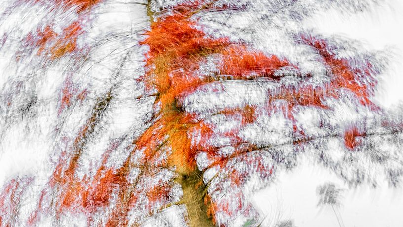 Moving red trees by Jan Linskens