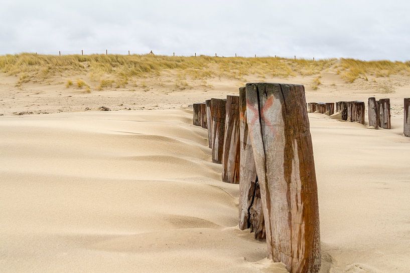 Nordseeküste in Zeeland von Achim Prill