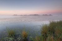 Strabrechtse Heide 212