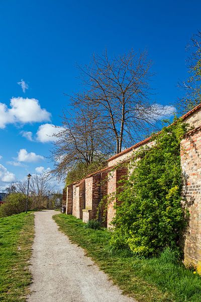 View of the city wall of the Hanseatic City of Rostock by Rico Ködder