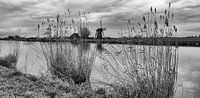 Black / White Photography - Lisserdijk ...