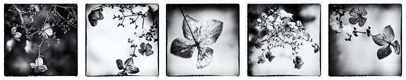 Wintercollage by Rob van der Pijll