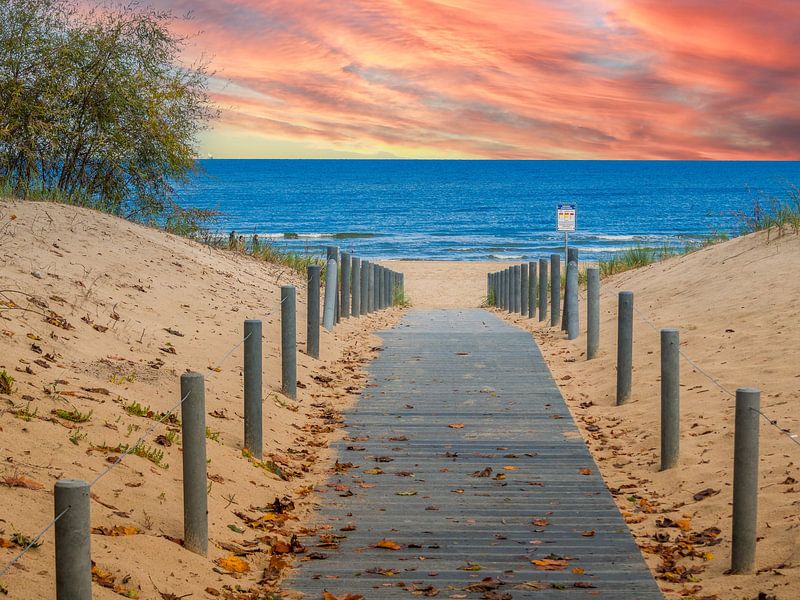 Way to the beach from the Baltic Sea by Animaflora PicsStock
